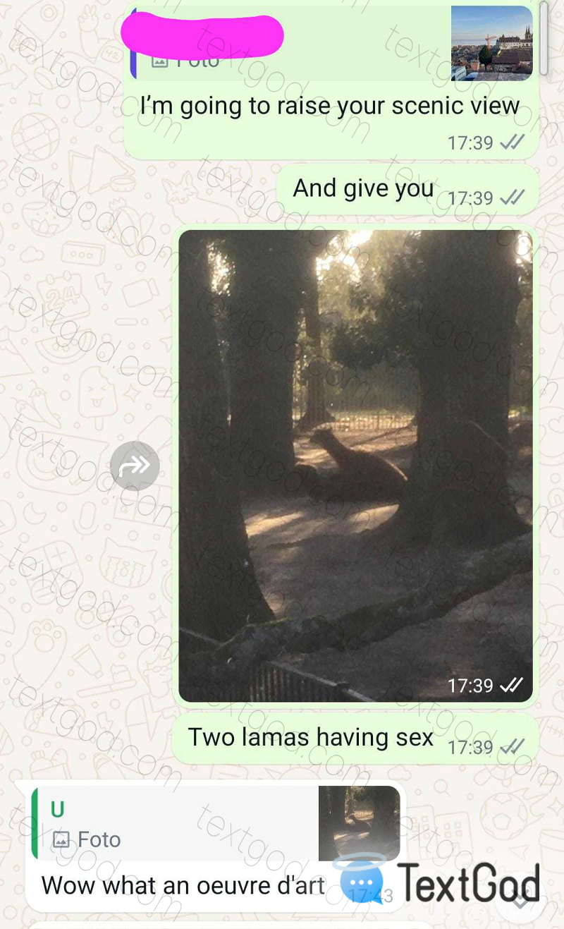 Daily screenshot